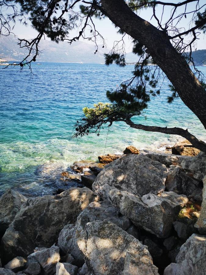 Villa Bosna Near Dubrovnik Very Beautiful Villa Entirely Privatized Swimming Pool, Jacuzzi, Sauna, Billiard, Ping-Pong Ivanica Luaran gambar