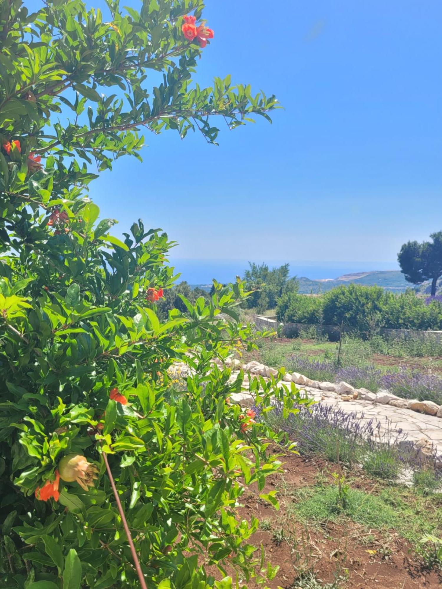 Villa Bosna Near Dubrovnik Very Beautiful Villa Entirely Privatized Swimming Pool, Jacuzzi, Sauna, Billiard, Ping-Pong Ivanica Luaran gambar